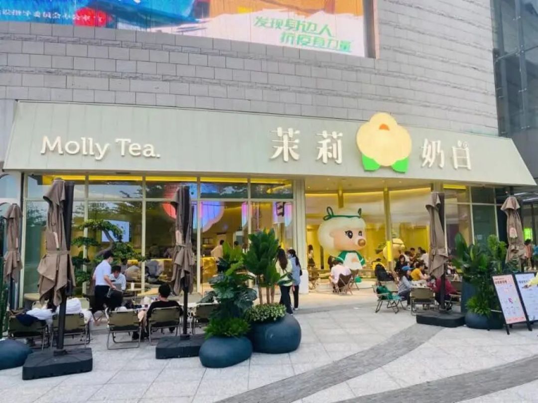全网都在打卡的「喝绿茶刮油掉秤」，秤真会降——但降的不是脂肪