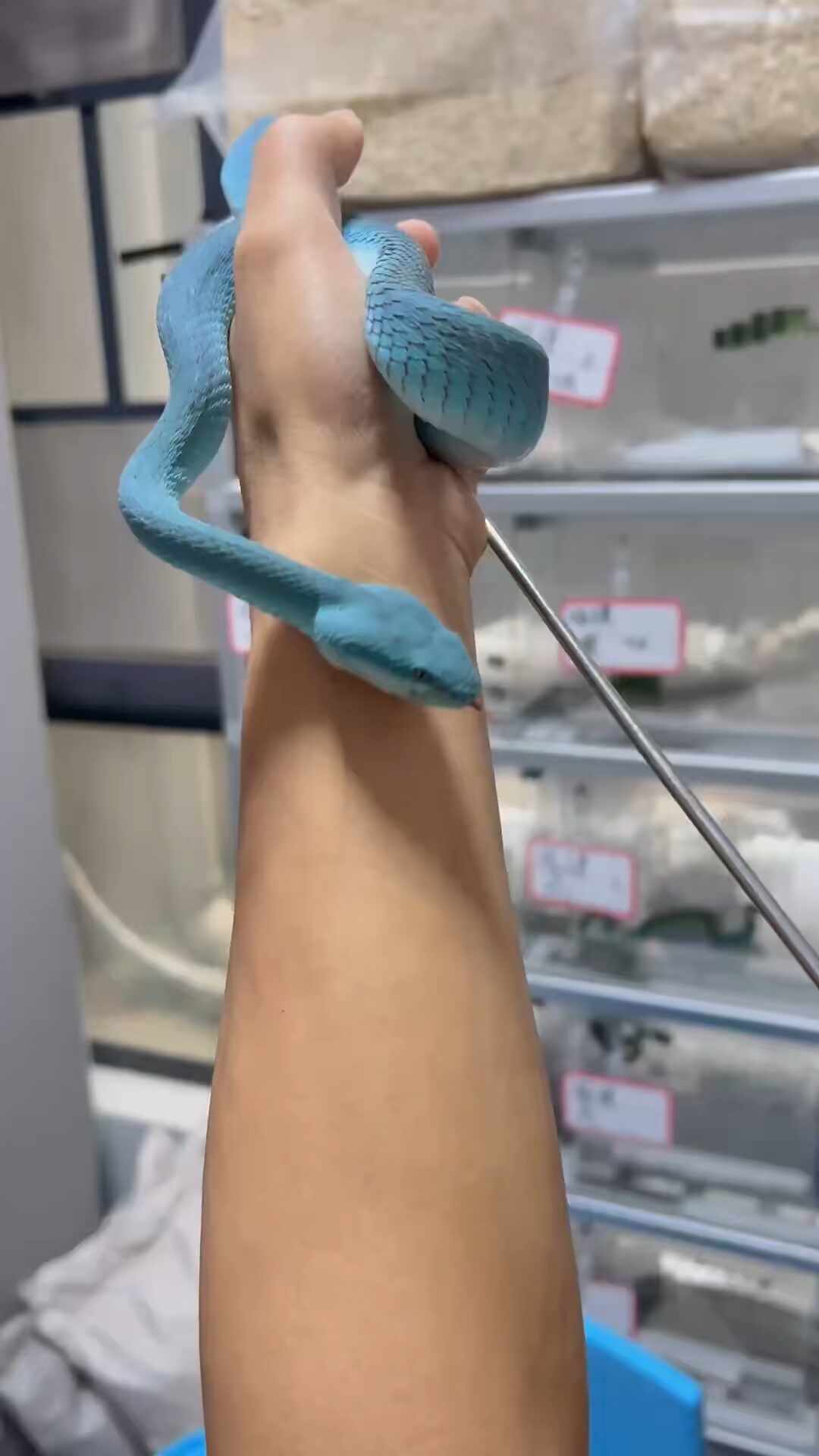 把