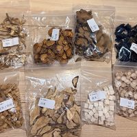 医院里要辨证开的膏方，网上几十块一罐也在卖：秋冬买膏，先分清“药”和“补品”