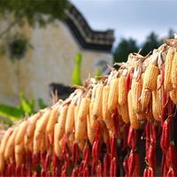 孩子放5天，家长请不出假：11月的秋假，先弄清哪几天、哪免票、谁托管