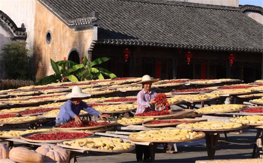 孩子放5天,家长请不出假:11月的秋假,先弄清哪几天、哪免票、谁托管