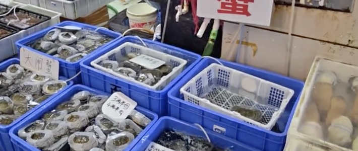 16元一只和50元一只，都是100克母蟹：蟹价“崩盘”，崩的是哪一批