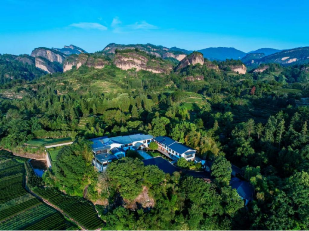 瑞泉“全系涨价”传闻卡在双11前夜:这碗岩茶“第一课”的单泡成本,先捋清再囤