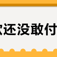 尾款还没敢付？二狗背带"先试再买"的4条路，我替你们查完了