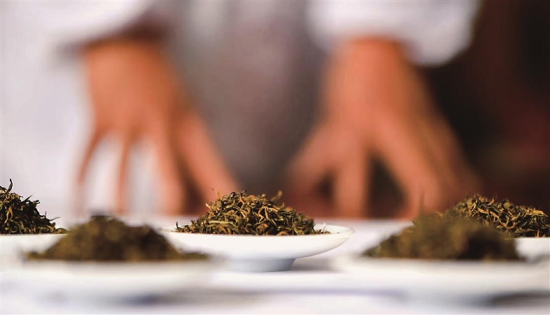 绿茶越来越不香了？豆香栗香是在哪一步丢的