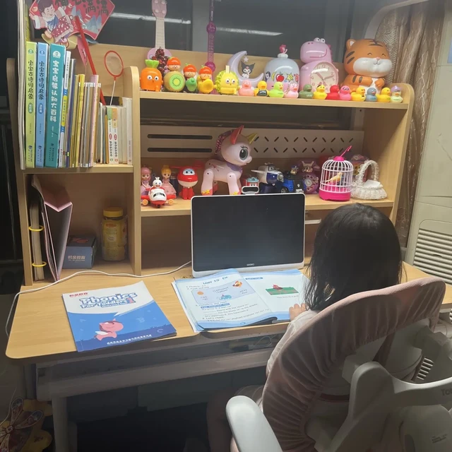 双11付定金前，先看看家里那台吃灰的学习机