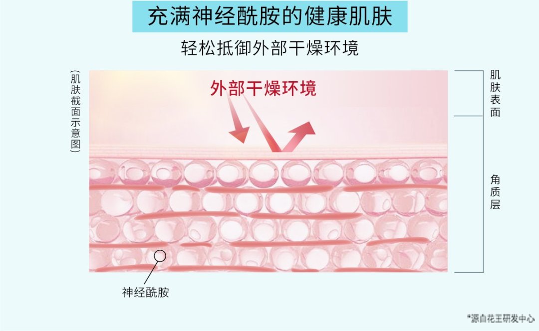 1180赞的空瓶封神、260评的