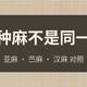 买麻料别混：亚麻苎麻汉麻三种麻对照