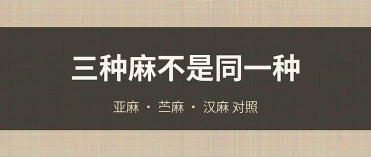 买麻料别混：亚麻苎麻汉麻三种麻对照