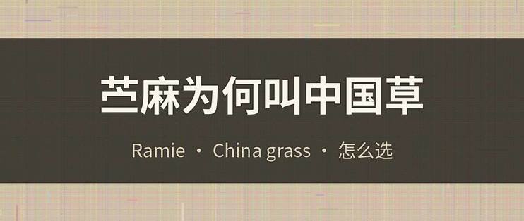 买苎麻先看懂：为何叫中国草
