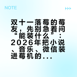 双十一落莓的莓友，先别急着问“能装什么”：2026年把小说、音乐、微信装进莓机的三条路与一张真实清单