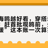 风越大海鸥越好看，穿搭却越容易翻车：赶首批观鸥前，先把“挡风保暖”这本账一次算完