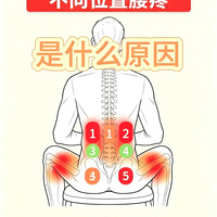 腰肌劳损不用愁!每天十分钟慢慢养回来