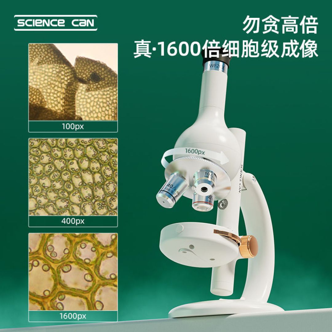 双11买科学罐头显微镜,250倍和1600倍,差的不是倍数