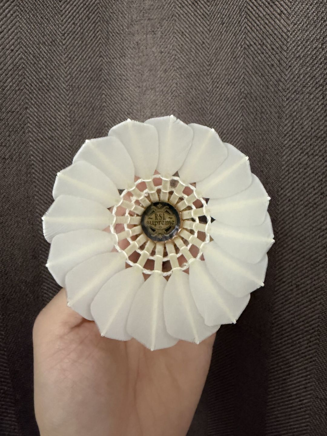 亚S拼到160,许愿价145还没蹲到:双11第三波前,把亚S和亚U这笔账算清