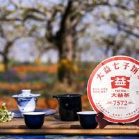 同一饼大益7572，有人喝出鱼腥，有人喝出菌菇鲜