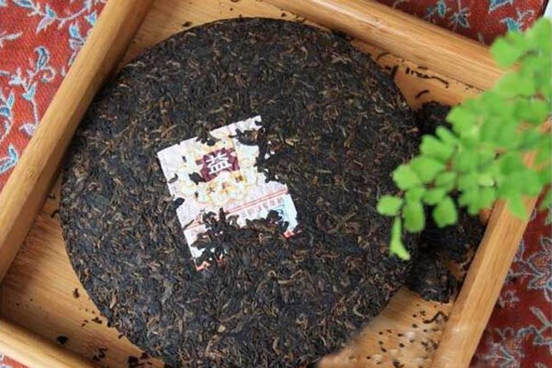 同一饼大益7572,有人喝出鱼腥,有人喝出菌菇鲜