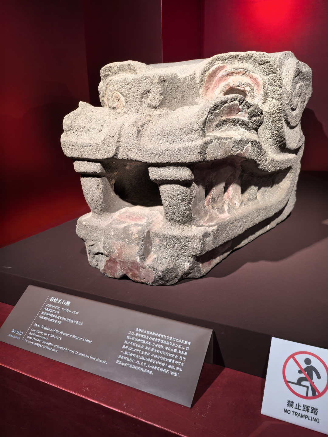 上博美洲展148元,值不值?差别全在你进场前干没干这三件事
