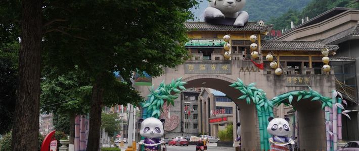 我数完2026年11起