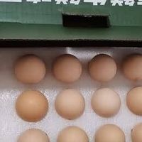 京鲜生鸡蛋品质与价格分析