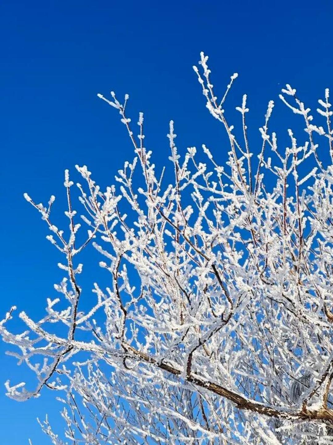 北大湖Club Med评测:带娃滑雪,一价全包到底包含啥