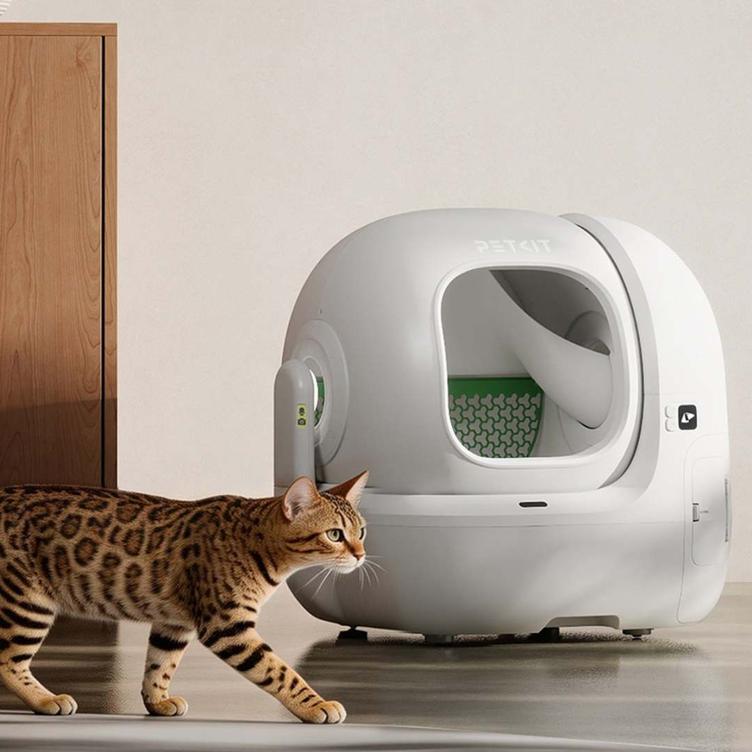 30元给猫砂盆装新风:风扇好装,难的是风往哪排