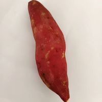 薯小萌沙地小香薯，正宗板栗口感小番薯