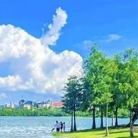换季头皮反复头屑出油，5 款去屑洗发水实测横评