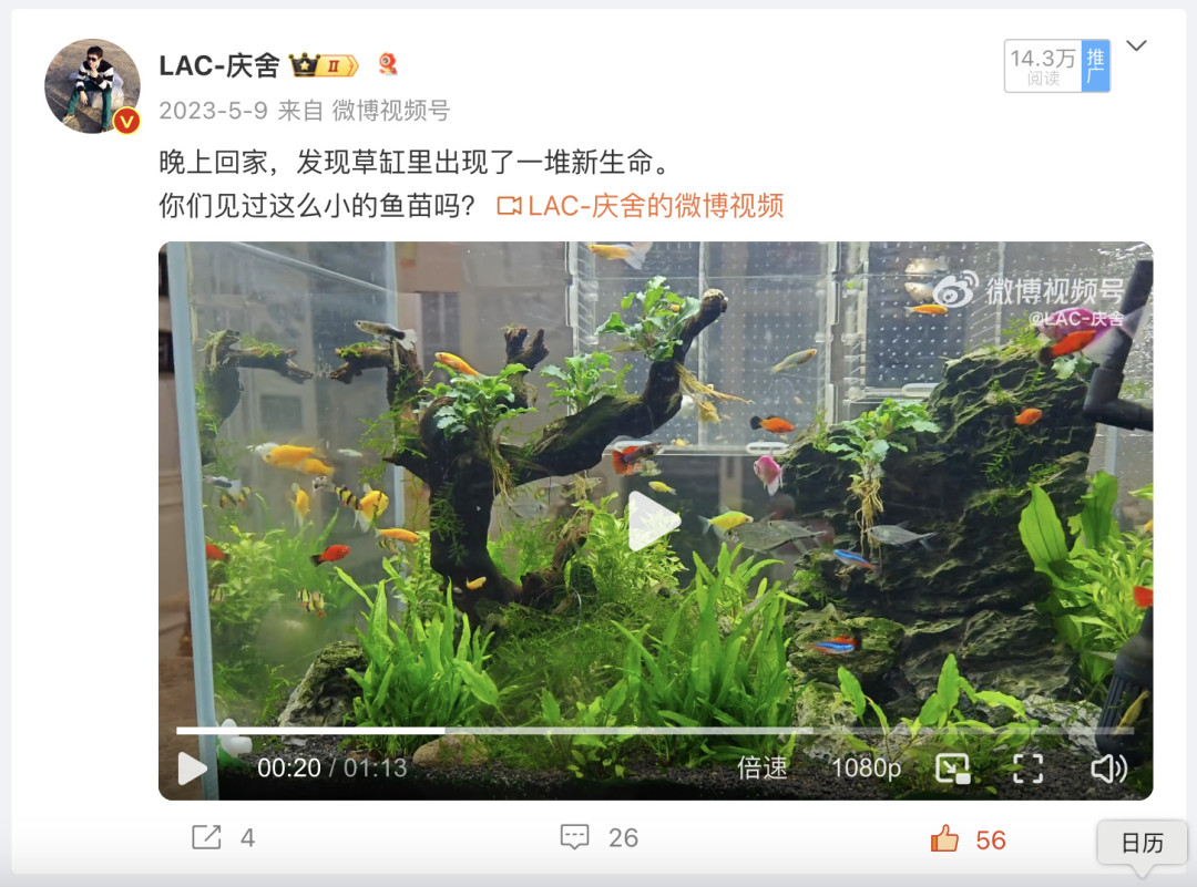 网购的鱼要过水吗?一眼袋子水就定了