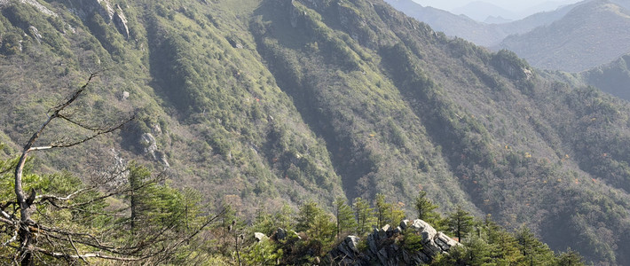 门票免了！高铁15分钟到终南山，走1400年古道一脚跨南北