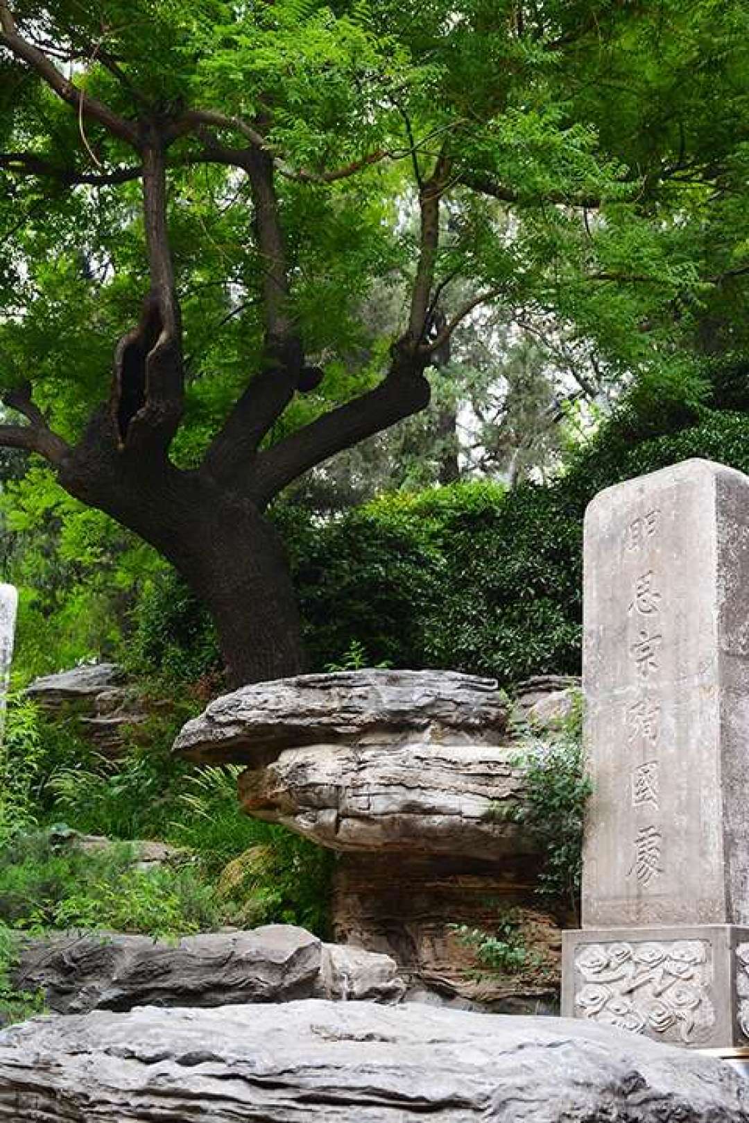《兰香如故》兵部尚书冻死,离谱吗?真实的崇祯:这算轻罪了
