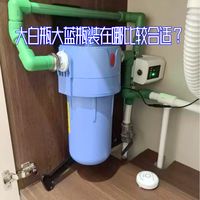 全屋前置大胖瓶大蓝瓶大白瓶到底装哪最合适