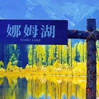 看懂鱼油标签的三个口径：Omega-3、EPA、DHA 到底是什么关系