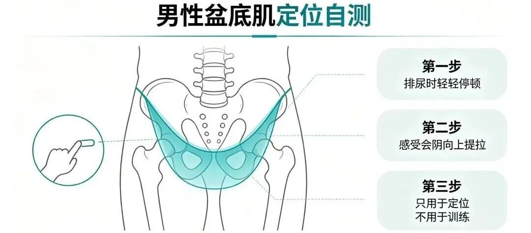 男生也有盆底肌!别急着练凯格尔,先分清你是