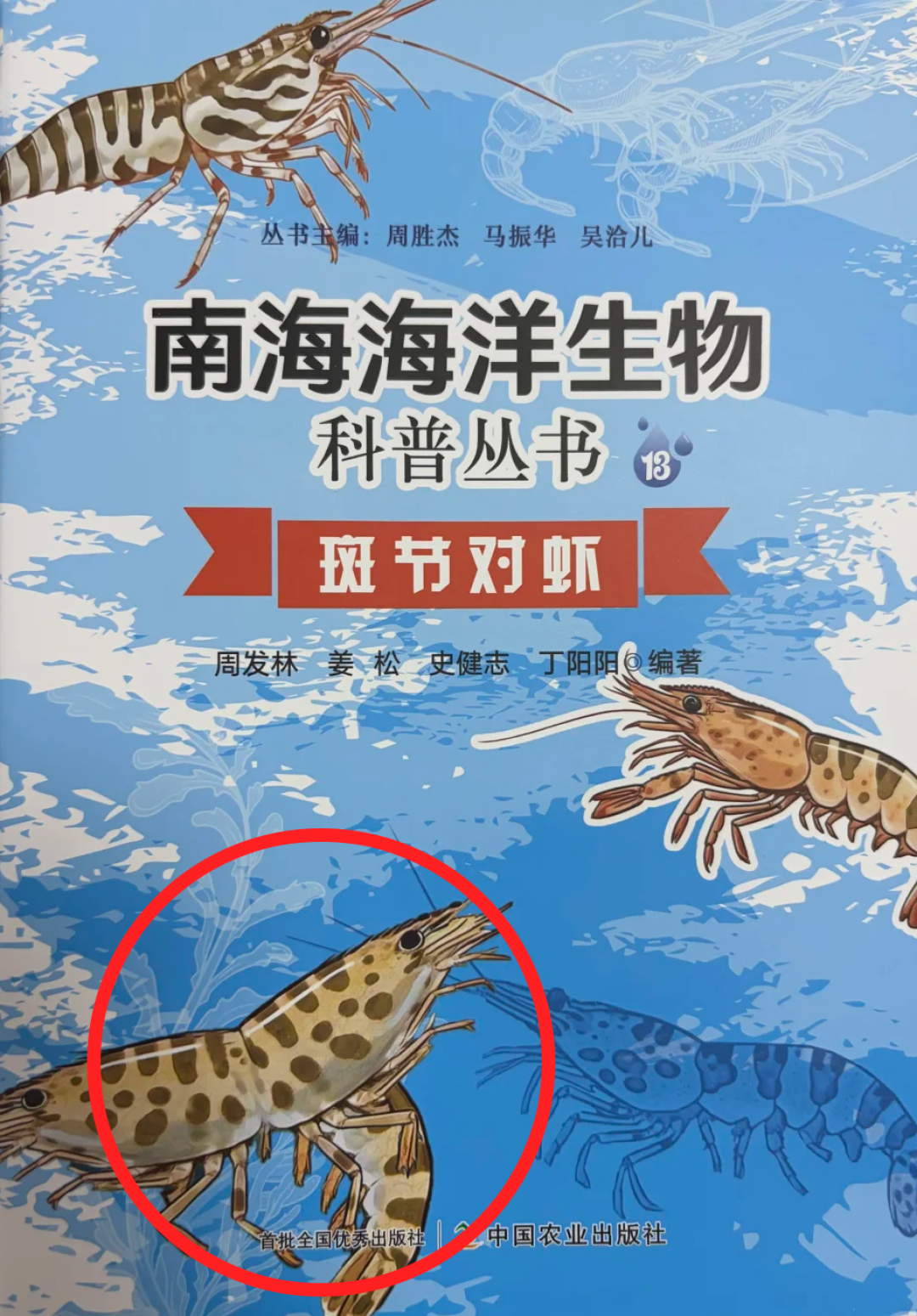 科普书封面爬出“双头虾”:双11给娃加购前,请先花2分钟看图