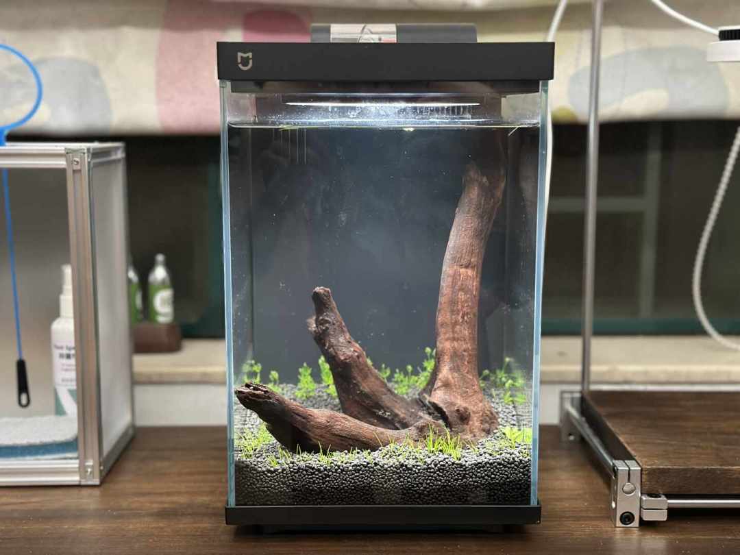 双十一“免换水”智能缸刷屏:我把种草文和机主返图对了一遍,翻车集中在4处