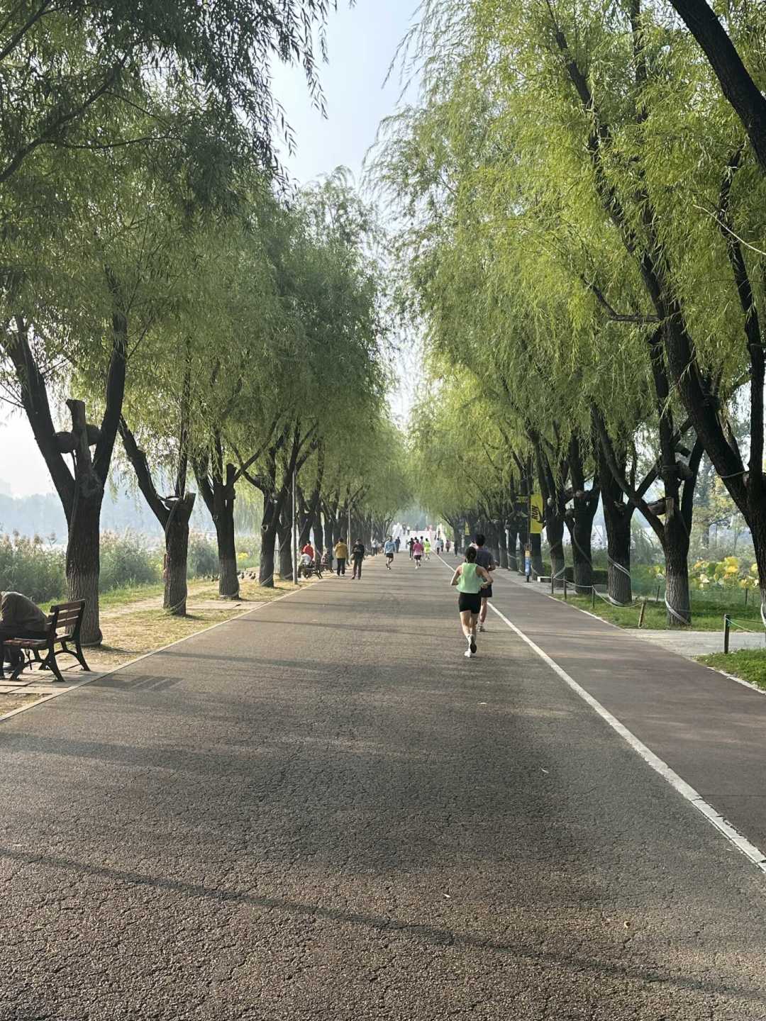 “月瘦7斤”?40岁兄弟别存16+8课表:掉的一半可能是肌肉
