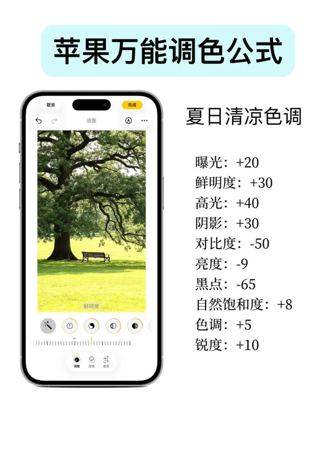 「惊为天人」vs「强制磨皮」:iPhone 18拍照两阵营,差一套参数