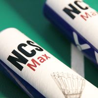 威克多新碳音MAX进了BWF，天然球却降价了：这颗人造球现在该不该买