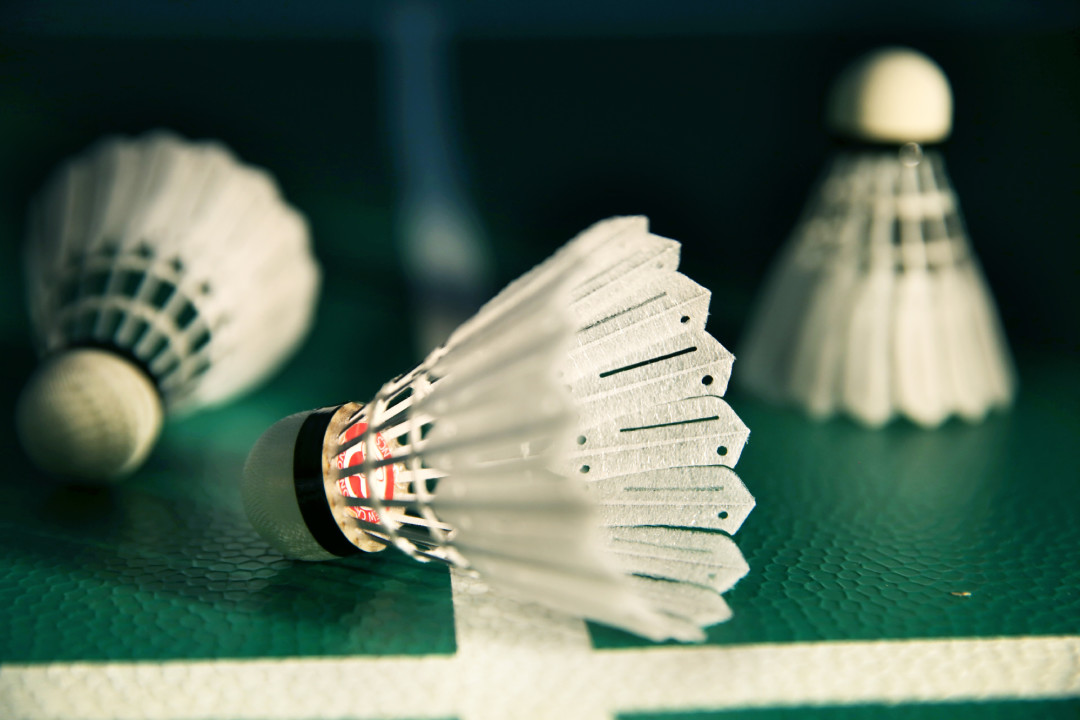 威克多新碳音MAX进了BWF,天然球却降价了:这颗人造球现在该不该买