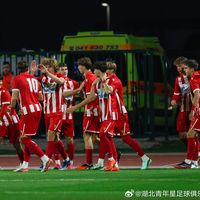 从林良铭到万项,中国球员等了11年的青年欧冠首球