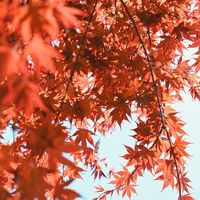 双十一把冲锋衣加进购物车前，先算一笔「出场率」的账