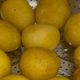 凉土豆蘸辣椒面两个月瘦22斤：“吃凉”只是佐料，热量缺口才是主菜
