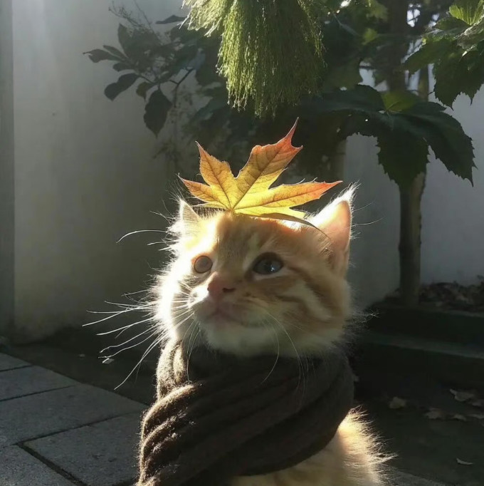 其他汽车服务