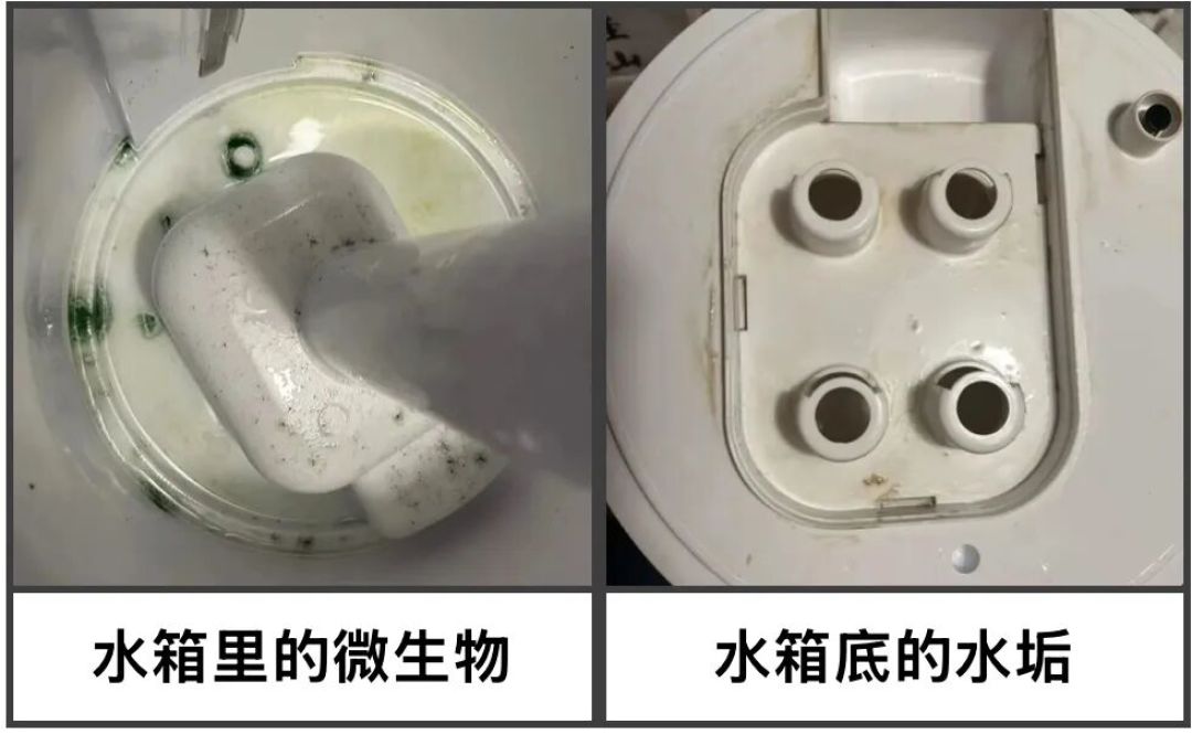 翻出来的加湿器先别开!水箱的脏分两种、洗法正好相反,这4样也别往水里加