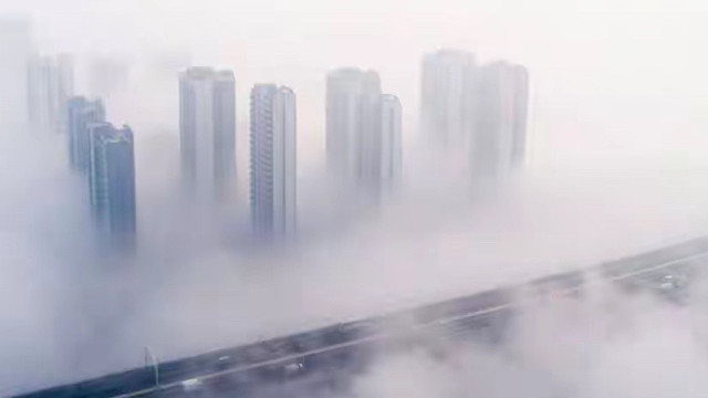 干海参选购笔记：五个品牌的等级、检测与产地怎么看
