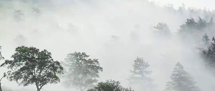 40岁后开始重视日常营养管理的人，磷虾油这样挑更有依据
