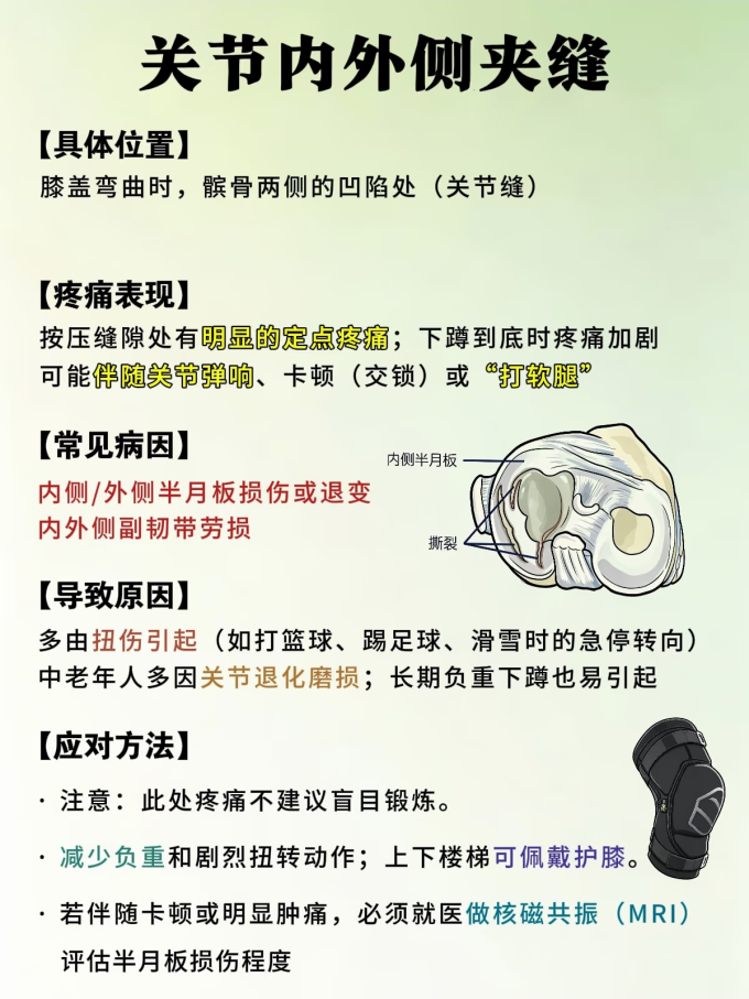 运动护具