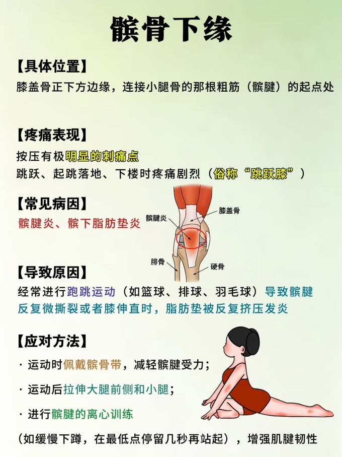 运动护具