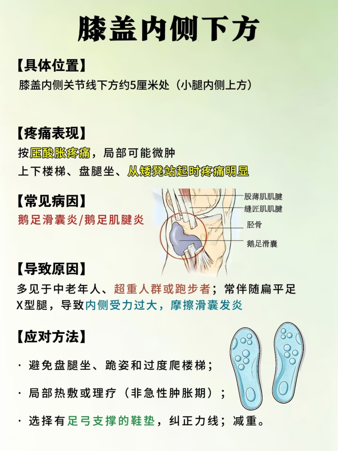 运动护具